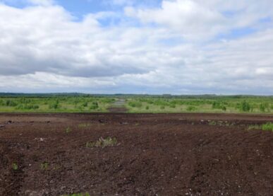 Tekstin Konnunsuon aurinkovoimalan asemakaavaluonnos – asukastilaisuus kuva