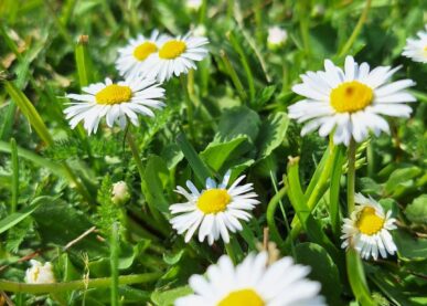 Tekstin Kunnon kesäjumppa kuva