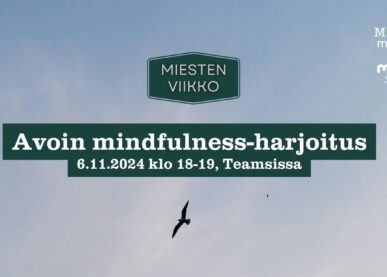 Tekstin Miesten Viikko: Miesten avoin mindfulness-harjoitus 6.11.2024 Teamsissa kuva