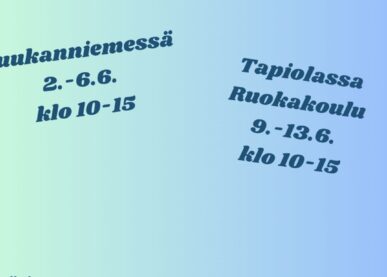 Tekstin Lemin kirkonkylän 4H-päiväleiri kuva