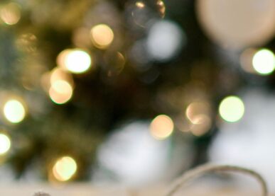 Tekstin Tähtitaivaan alla -joulukonsertti kuva