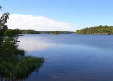 Tekstin Luontohankkeiden ideointi-ilta Lemillä kuva