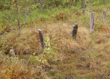 Tekstin Maanomistajan tietopaketti -verkkokurssi (10 tuntia) kuva