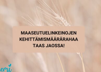 Ajankohtaista-artikkelin Maaseutuelinkeinojen kehittämismäärärahan käyttö 2026 kuva